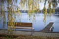 Banc public avec dossier Frederiksberg pour 4 personnes près d'un lac et d'un ponton sous un saule pleureur.