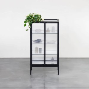 Bibliothèque en verre Odean moderne de petite taille pour cuisine, salon, salle à manger, appartement avec matériau métallique.