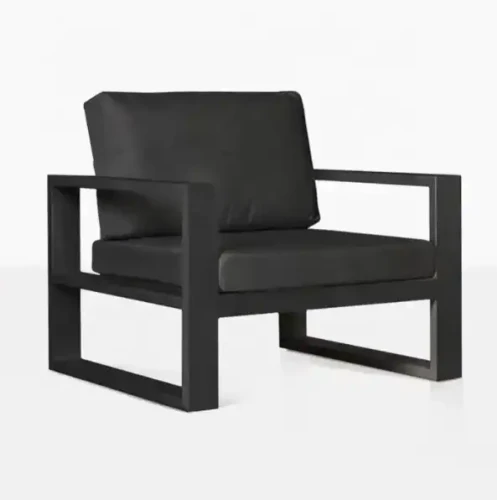 Modern Indoor Furniture Single Lounge Sofa Chair Luxury Patio Furniture Sofa For Living Home in black with cushions.