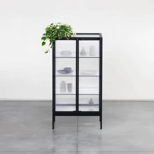 Moderner Glasschrank aus Metall mit Pflanze darauf.