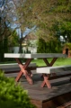 Garden set with concrete tabletop and wooden legs on patio.